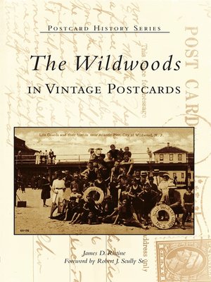 cover image of The Wildwoods